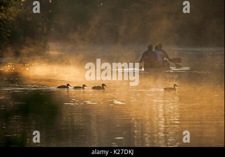 Kanufahren auf der Schwentine Fluss Stockfoto