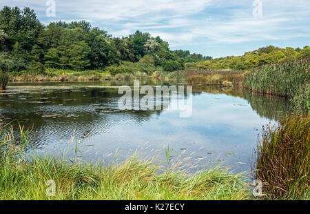 Großer Teich im Osten Aberthaw Nature Reserve South Wales Stockfoto