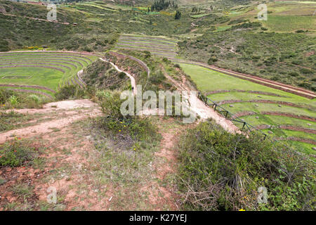 Moray landwirtschaftlichen archäologische Stätte Cusco Peru. Größte der drei kreisförmigen Terrassen Stockfoto