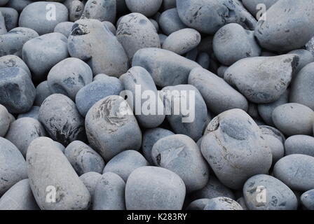 Kiesel Stockfoto