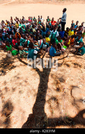 Afrika, Malawi, Lilongwe. Kinder studieren in den Schatten eines Baumes Stockfoto