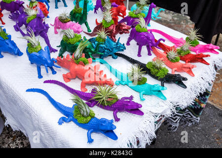 Miami Florida, Wynwood, Wynwood Life Street Festival, Dinosaurier, Alligatoren, Verkauf, Display-Verkauf epiphytische Bromeliade, Pflanzenhalter, Miniatur, FL170430211 Stockfoto