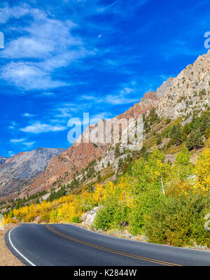 Buntes Herbstlaub neben Straße in Lundy Canyon in der östlichen Sierra Nevada in Kalifornien Stockfoto