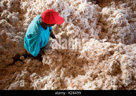 Afrika, Malawi, Balaka Bezirk. Baumwollverarbeitung Stockfoto