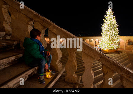 Europa, Italien, Perugia Distict, Assisi. Weihnachtsbaum auf dem Platz Stockfoto