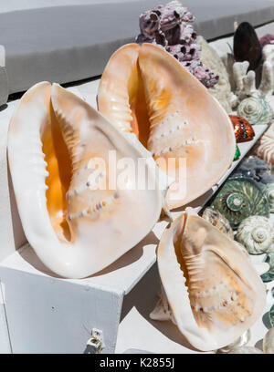 Souvenirshop mit Muscheln an Touristen, Mykonos, Kykladen, Griechenland. Stockfoto