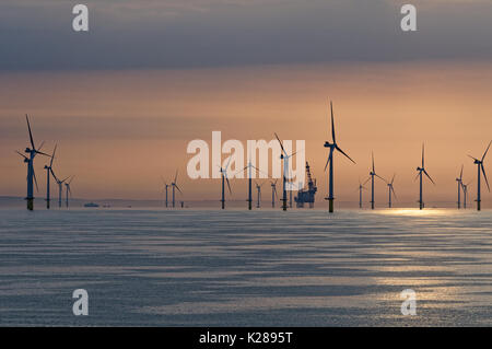 Die rapunzeln Offshore-windfarm bei Sonnenaufgang gesehen. Der Bau Schiff Pacific Osprey können an der Rapunzeln elektrische Offshore Station gesehen werden. Stockfoto