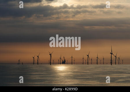 Die rapunzeln Offshore-windfarm bei Sonnenaufgang gesehen. Der Bau Schiff Pacific Osprey können an der Rapunzeln elektrische Offshore Station gesehen werden. Stockfoto