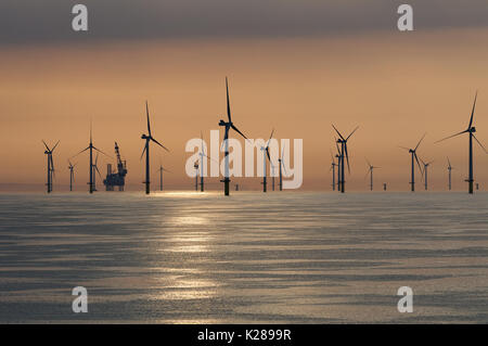 Die rapunzeln Offshore-windfarm bei Sonnenaufgang gesehen. Der Bau Schiff Pacific Osprey können an der Rapunzeln elektrische Offshore Station gesehen werden. Stockfoto