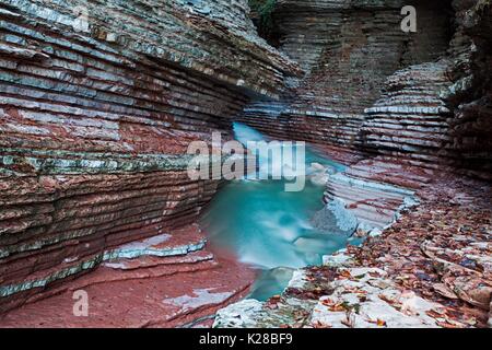 Brent de l'Art, Belluno Voralpen, Trichiana, Belluno, Venetien, Italien. Stockfoto