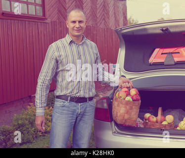 Guy setzt Äpfel ernten in den Kofferraum des Autos Stockfoto