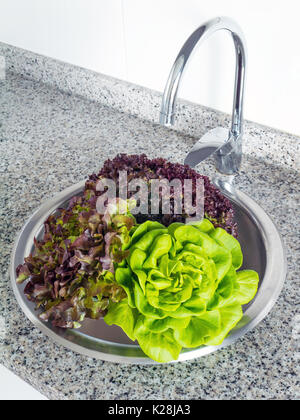 Grüne und rote Kopfsalat Waschen in der Spüle Stockfoto