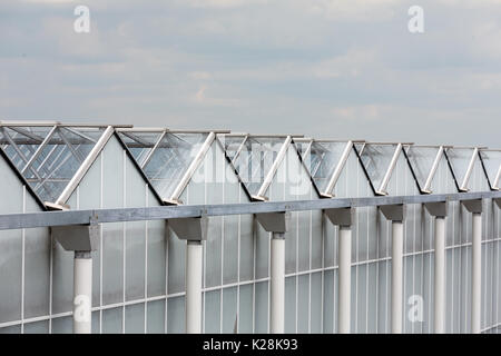 MOERKAPELLE, Westland, Niederlande - Juni 5, 2017: Detail eines modernen Gewächshaus. Stockfoto