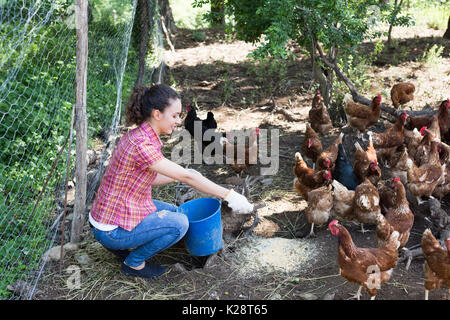 Junge Frau Bauer, die das Futtermittel für Geflügel Hühner Farm im Freien Stockfoto