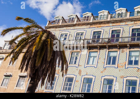 Fliese Gebäude mit Palm Tree Stockfoto