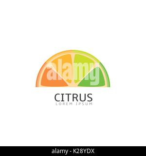 Stücke von Zitrusfrüchten Stock Vektor