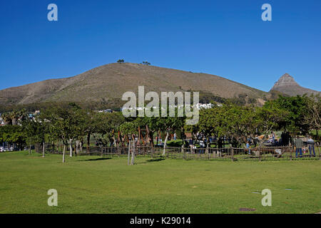 Green Point städtischen Park & Biodiversität Garten mit Lion's Head im Hintergrund, Kapstadt, Südafrika. Stockfoto