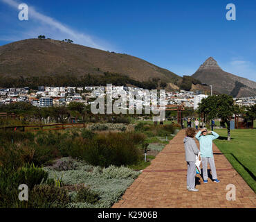 Green Point städtischen Park & Biodiversität Garten mit Lion's Head im Hintergrund, Kapstadt, Südafrika. Stockfoto