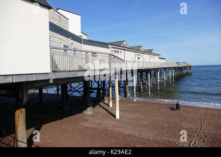 Fotograf am Strand Teignmouth Devon Einrichten von Geräten Stockfoto