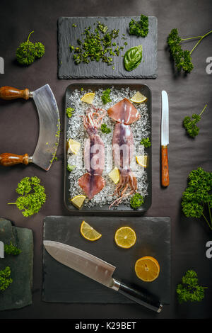 Blick von oben auf die frischen, rohen Tintenfisch auf Crushed Ice Stockfoto