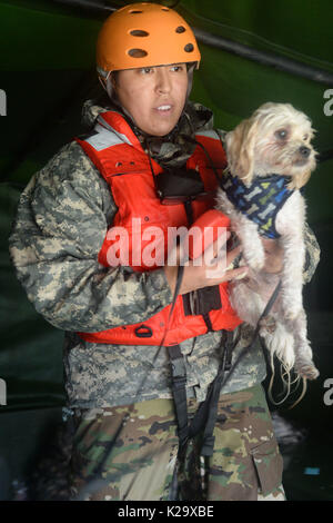 Texas, USA. 28 Aug, 2017. Ein Texas National Guard Soldat hält einen geretteten Hund als Wachposten und freiwillige Feuerwehr- und Rettungskräfte Evakuierung der Bewohner und deren Haustiere durch Überschwemmung in der Nachmahd des Hurrikans Harvey 28. August gefangen, 2017 in Cypress, Texas. Credit: Planetpix/Alamy leben Nachrichten Stockfoto