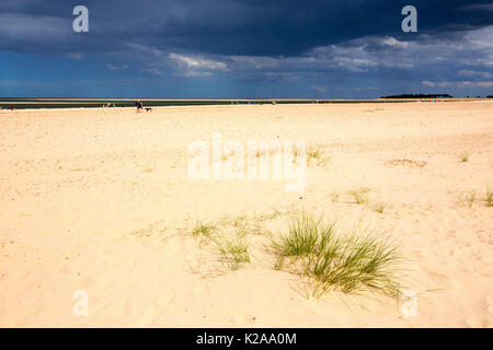 Dunkle Gewitterwolken mit Regen über Holkham Beach, Norfolk, Großbritannien. Stockfoto