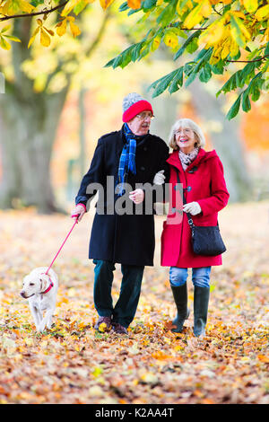 Ältere Paare sind zu Fuß durch die Wälder im Herbst mit ihrem Haustier Hund. Stockfoto