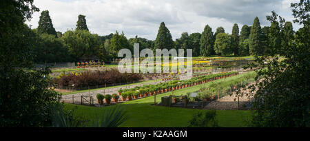 Studien Feld RHS Wisley Stockfoto