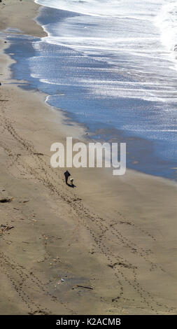 Die Kalifornien North Coast in Sonoma County entlang Scenic Highway 1 bei Ziege Rock State Beach, wo die russischen Fluss den Pazifischen Ozean trifft Stockfoto