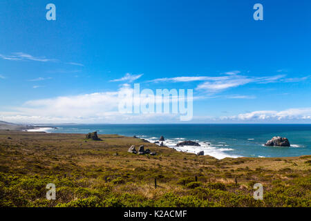 Die Kalifornien North Coast in Sonoma County entlang Scenic Highway 1 bei Ziege Rock State Beach, wo die russischen Fluss den Pazifischen Ozean trifft Stockfoto