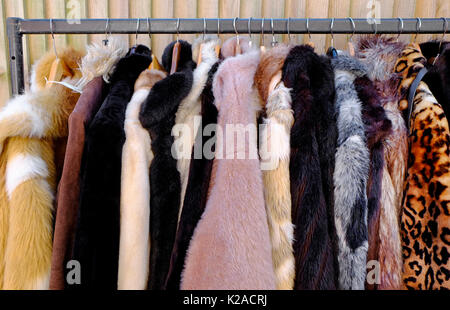 Fake Pelzmäntel hängend auf Rack, Norfolk, England Stockfoto