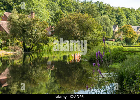 Üppige grüne Vegetation entlang des Flusses Itchen in Winchester im Sommer, Hampshire, Großbritannien Stockfoto