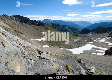 Blick vom Pass Col de Malatra zu den Italienischen Alpen Stockfoto