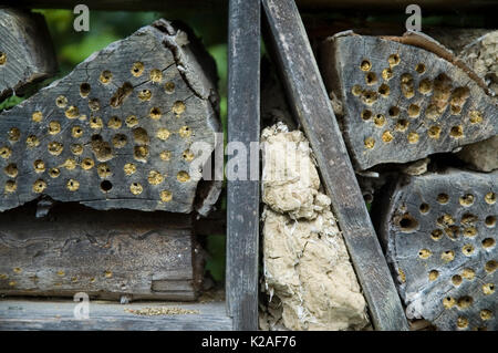 Detail eines Insekts Hotel Stockfoto