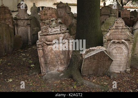 Abgebrochen durch Wurzeln bewachsenen Grabsteinen auf dem Alten Jüdischen Friedhof (Starý židovský hřbitov) im jüdischen Viertel in Prag, Tschechische Republik. Stockfoto