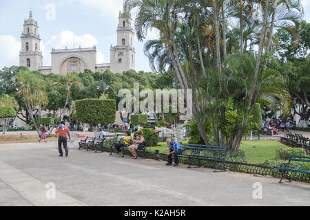 Plaza Grande ist vor der Kathedrale von Mérida, Merida, Yucatan, Mexiko. Stockfoto