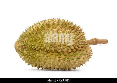 Closeup Mon Thong Durian Frucht auf weißem Hintergrund Stockfoto