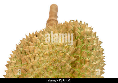 Closeup Mon Thong Durian Frucht auf weißem Hintergrund Stockfoto