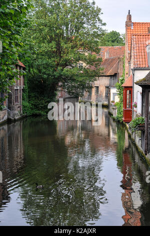 Blick auf das ruhige Wasser von einem kleinen Kanal von einer Brücke in Brügge/Brügge in Belgien mit grachtenhäusern und deren Reflexionen in der Sommersonne Stockfoto