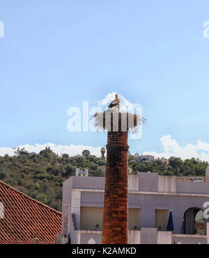 Paar Störchen auf einem Nest auf einem Schornstein Stockfoto