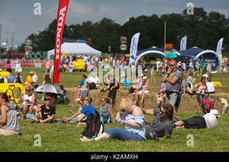 CARFEST Süd 2017 Car-Fest, jährliche Autofahren Festival in Hampshire statt, das von Radio Moderator Chris Evans, England, UK gegründet. Stockfoto