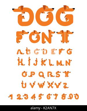 Hund Font. Dackel Alphabet. Schriftzug home Tier. ABC pet Stock Vektor