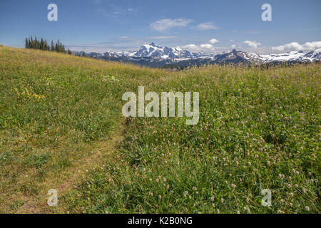 Ende Sommer alpine Wiesen auf Skyline Teilen Wanderweg in der Nähe von Mt. Baker im Staat Washington und Mt Shuksan in der Ferne. Stockfoto