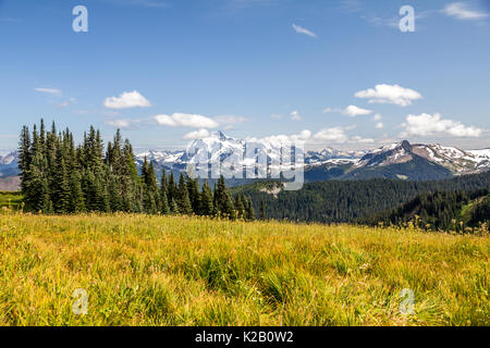 Aussicht auf den Mt Baker im Norden Kaskaden von Staat Washington - südlich von Vancouver, BC - Von der Skyline gesehen Teilen Wanderweg. Stockfoto