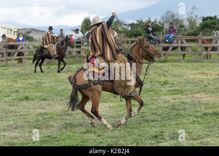 Juni 3, 2017 Machachi, Ecuador: Cowboy in traditionellen Poncho und Chaps auf dem Pferd mit dem Lasso Stockfoto