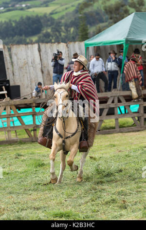 Juni 3, 2017 Machachi, Ecuador: junge kechwa Junge in traditioneller Cowboy outfit Arbeiten das Lasso Natur vom Pferderücken aus Stockfoto