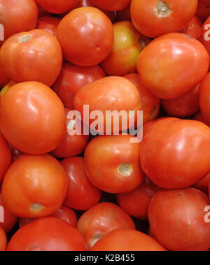 Geschlossen bis der Haufen der leuchtend rote reife Bio Tomaten, vertikale Bild Stockfoto