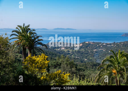 Blick auf das Mittelmeer von einem Hügel in der Nähe von Saint Tropez mit Palmen und entfernte Inseln Stockfoto