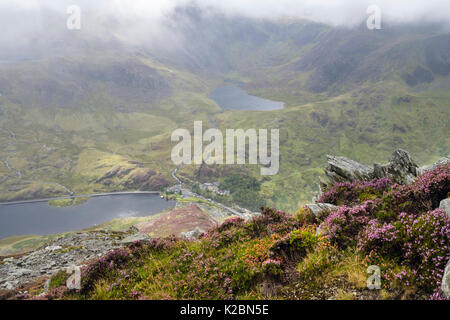 Atmosphärische hoch oben Llyn Ogwen See und Cwm Idwal von Pen Jahr Ole Wen Berghang in der Cloud. Ogwen North Wales UK Großbritannien Stockfoto