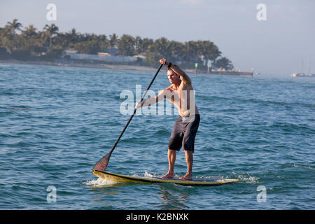 Paddleboarder in Key West, Florida, USA, Januar 2011. Stockfoto